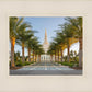 Gilbert Temple Pathway
