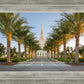 Gilbert Temple Pathway