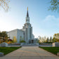 Boston Temple Spring Blossoms