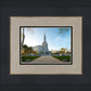 Boston Temple Spring Blossoms