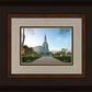 Boston Temple Spring Blossoms