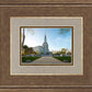 Boston Temple Spring Blossoms