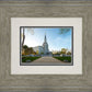 Boston Temple Spring Blossoms