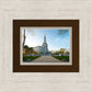 Boston Temple Spring Blossoms