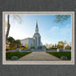 Boston Temple Spring Blossoms