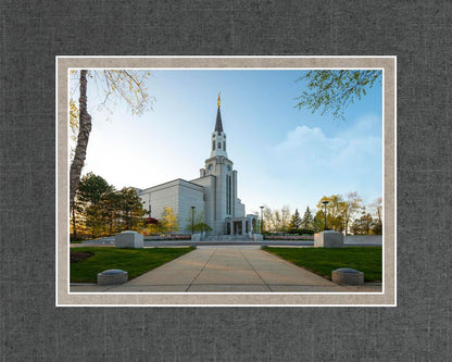 Boston Temple Spring Blossoms