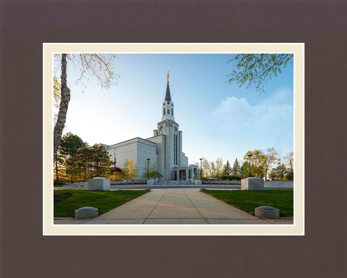 Boston Temple Spring Blossoms