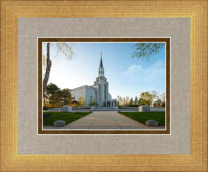 Boston Temple Spring Blossoms