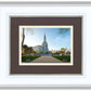 Boston Temple Spring Blossoms