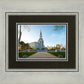 Boston Temple Spring Blossoms