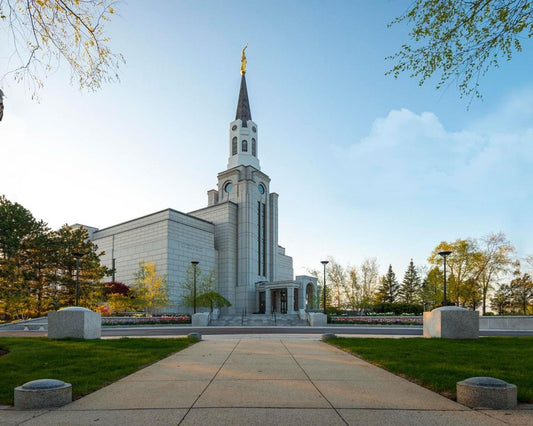 Boston Temple Spring Blossoms Gallery Wrap