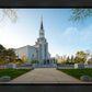 Boston Temple Spring Blossoms