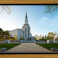 Boston Temple Spring Blossoms