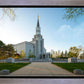 Boston Temple Spring Blossoms
