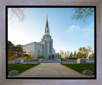 Boston Temple Spring Blossoms