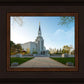 Boston Temple Spring Blossoms
