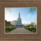 Boston Temple Spring Blossoms