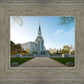 Boston Temple Spring Blossoms