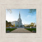 Boston Temple Spring Blossoms