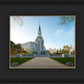 Boston Temple Spring Blossoms