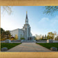 Boston Temple Spring Blossoms