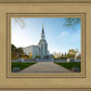 Boston Temple Spring Blossoms