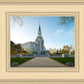 Boston Temple Spring Blossoms
