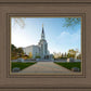 Boston Temple Spring Blossoms
