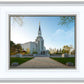 Boston Temple Spring Blossoms