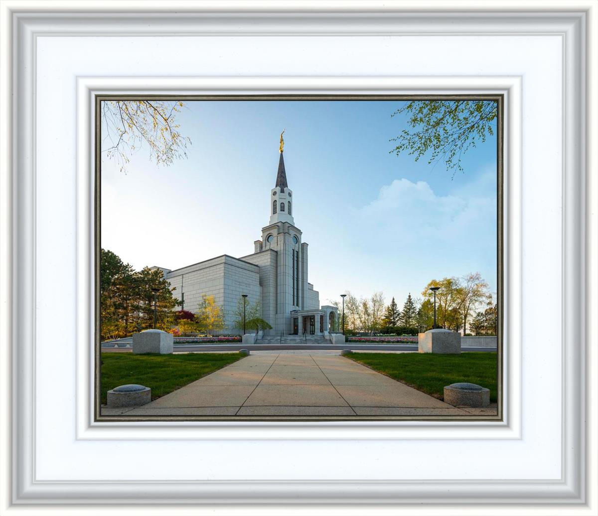 Boston Temple Spring Blossoms