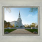 Boston Temple Spring Blossoms