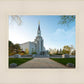 Boston Temple Spring Blossoms