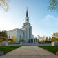 Boston Temple Spring Blossoms