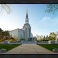 Boston Temple Spring Blossoms