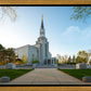 Boston Temple Spring Blossoms