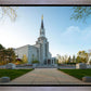 Boston Temple Spring Blossoms