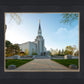 Boston Temple Spring Blossoms