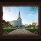 Boston Temple Spring Blossoms