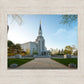 Boston Temple Spring Blossoms