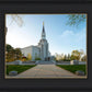 Boston Temple Spring Blossoms