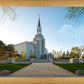 Boston Temple Spring Blossoms