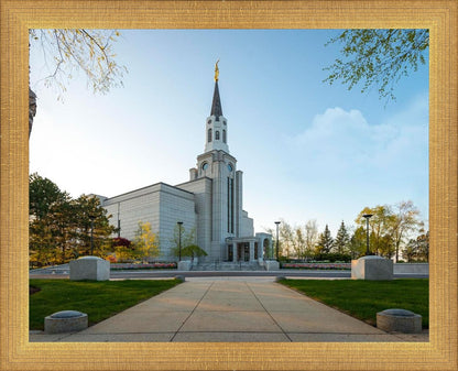 Boston Temple Spring Blossoms