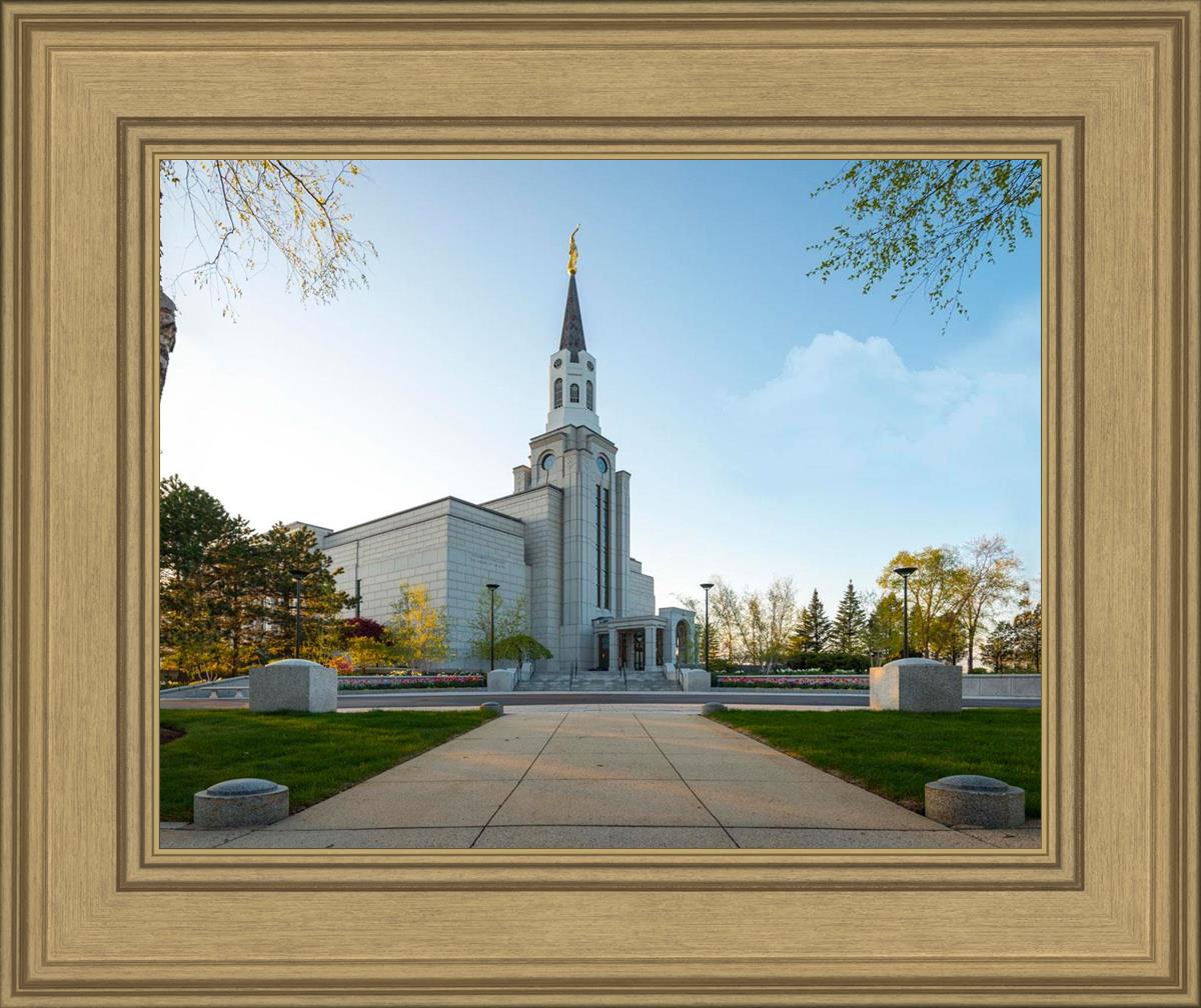 Boston Temple Spring Blossoms