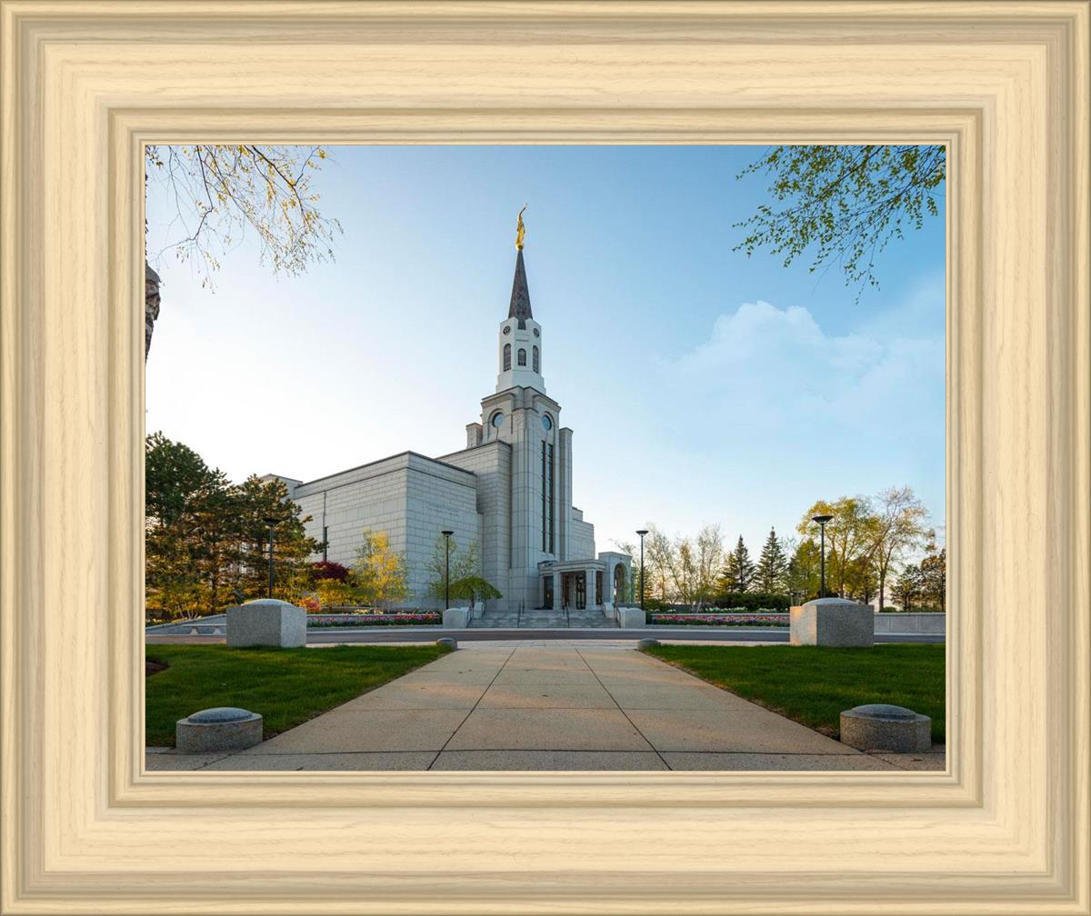 Boston Temple Spring Blossoms