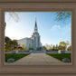 Boston Temple Spring Blossoms