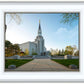 Boston Temple Spring Blossoms