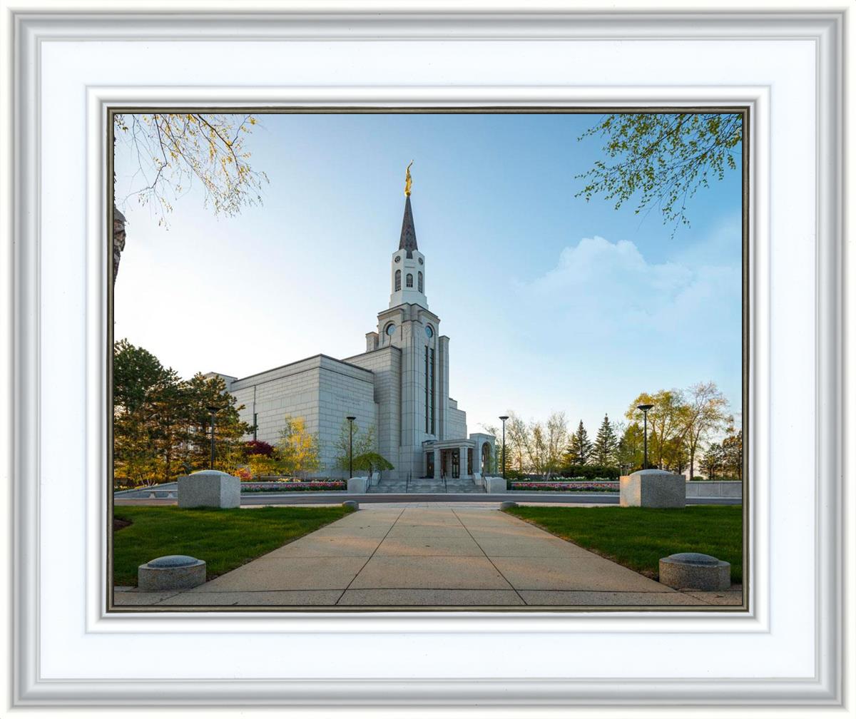 Boston Temple Spring Blossoms