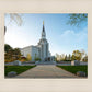 Boston Temple Spring Blossoms