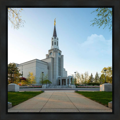 Boston Temple Spring Blossoms