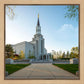 Boston Temple Spring Blossoms